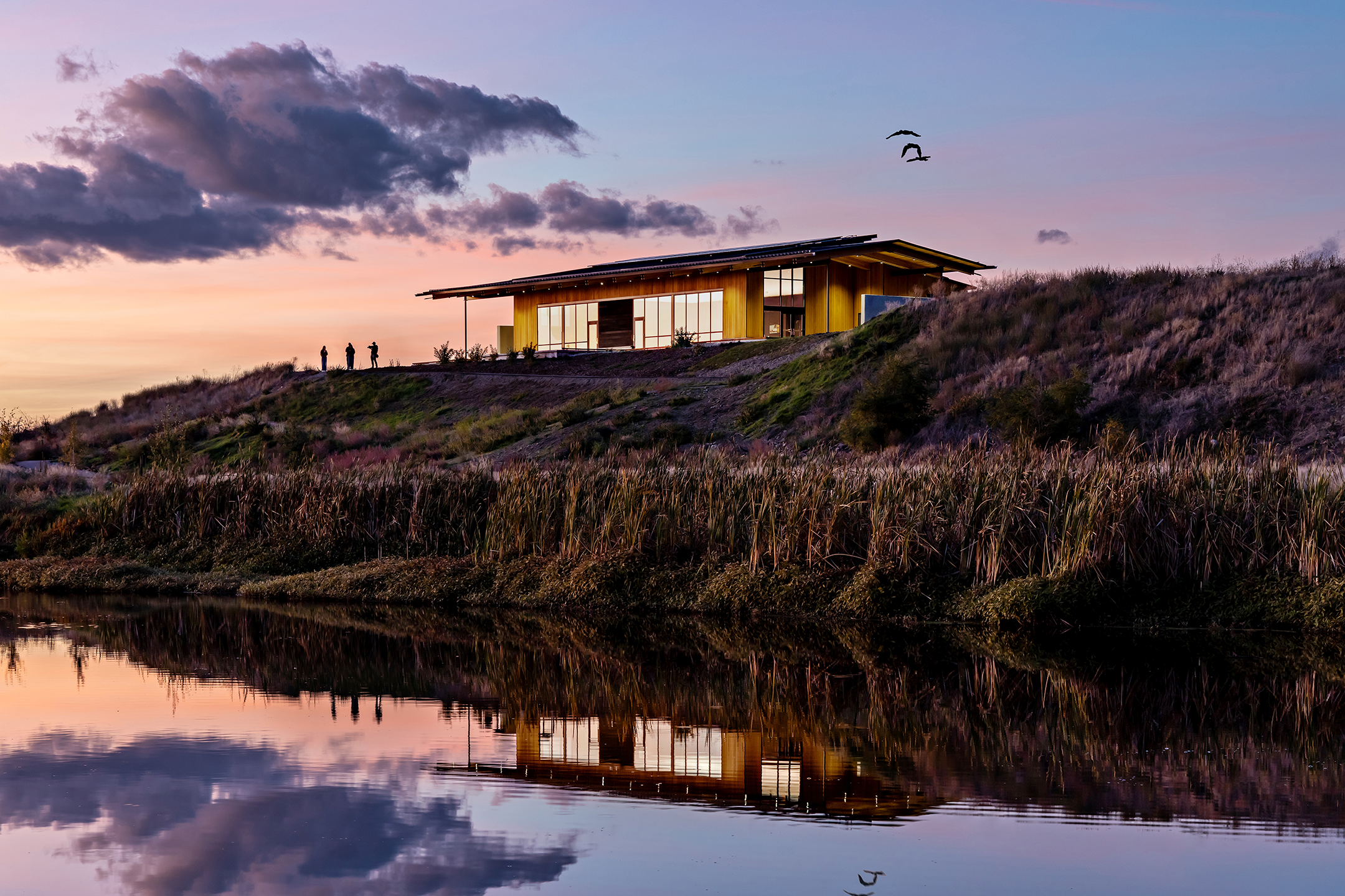 Alsc Doris Twilight Perspective With Pond Large WEB