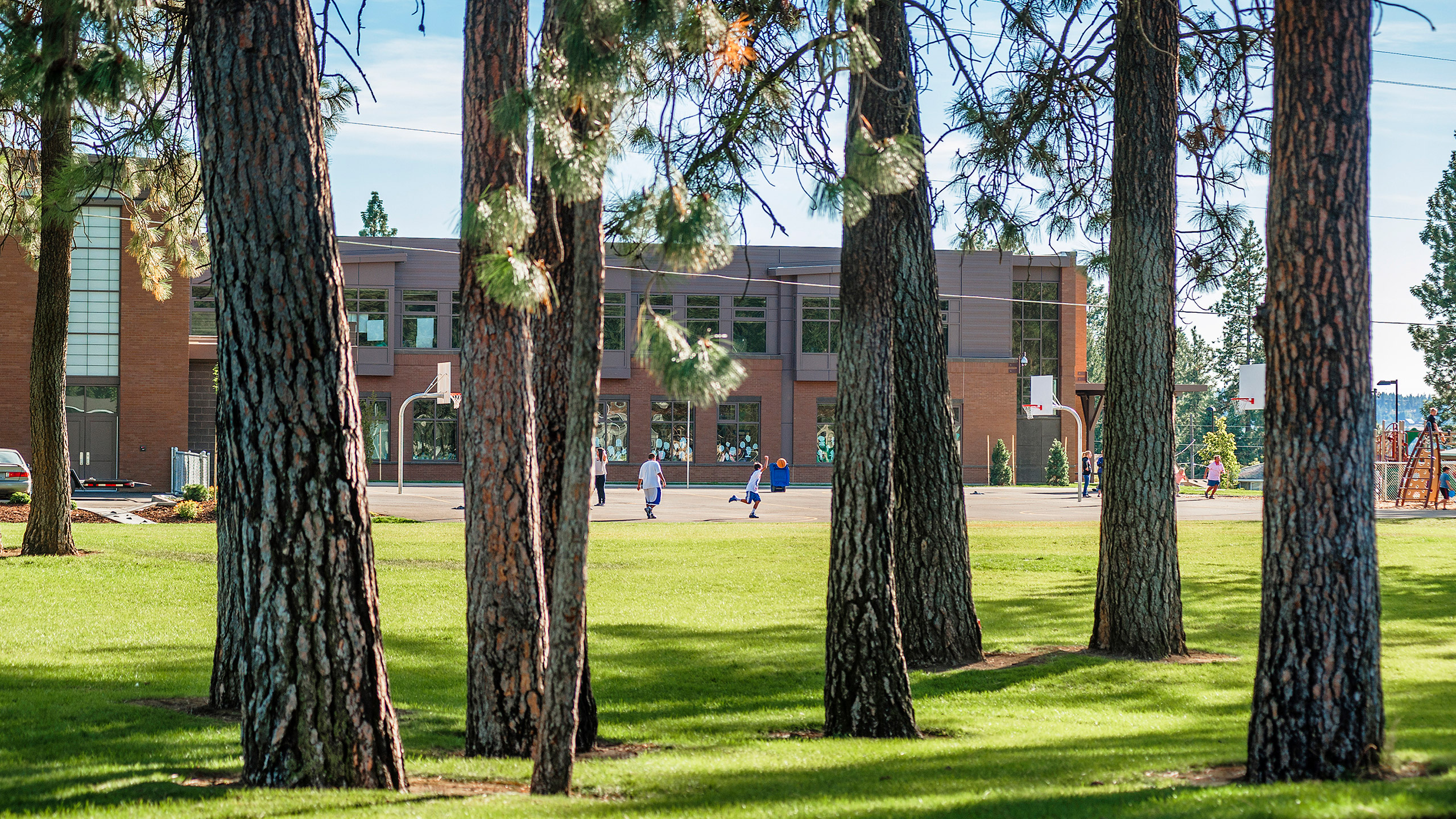 ALSC Architects Westview Trees