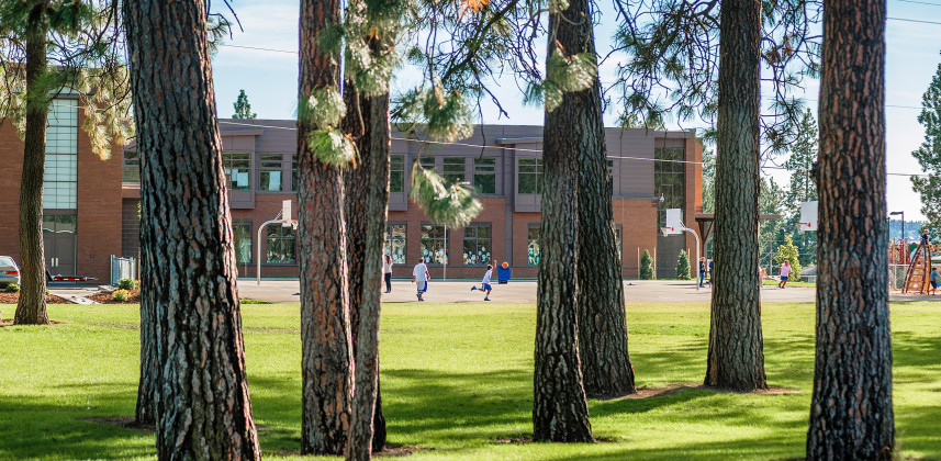 ALSC Architects Westview Trees